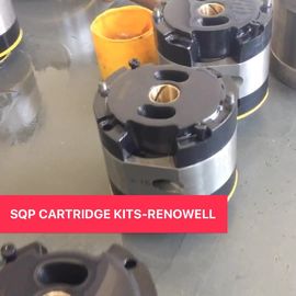 Eaton Vickers thay thế V Vane Pump Repair Cartridge Kits Bộ dụng cụ bơm Eaton nhà cung cấp